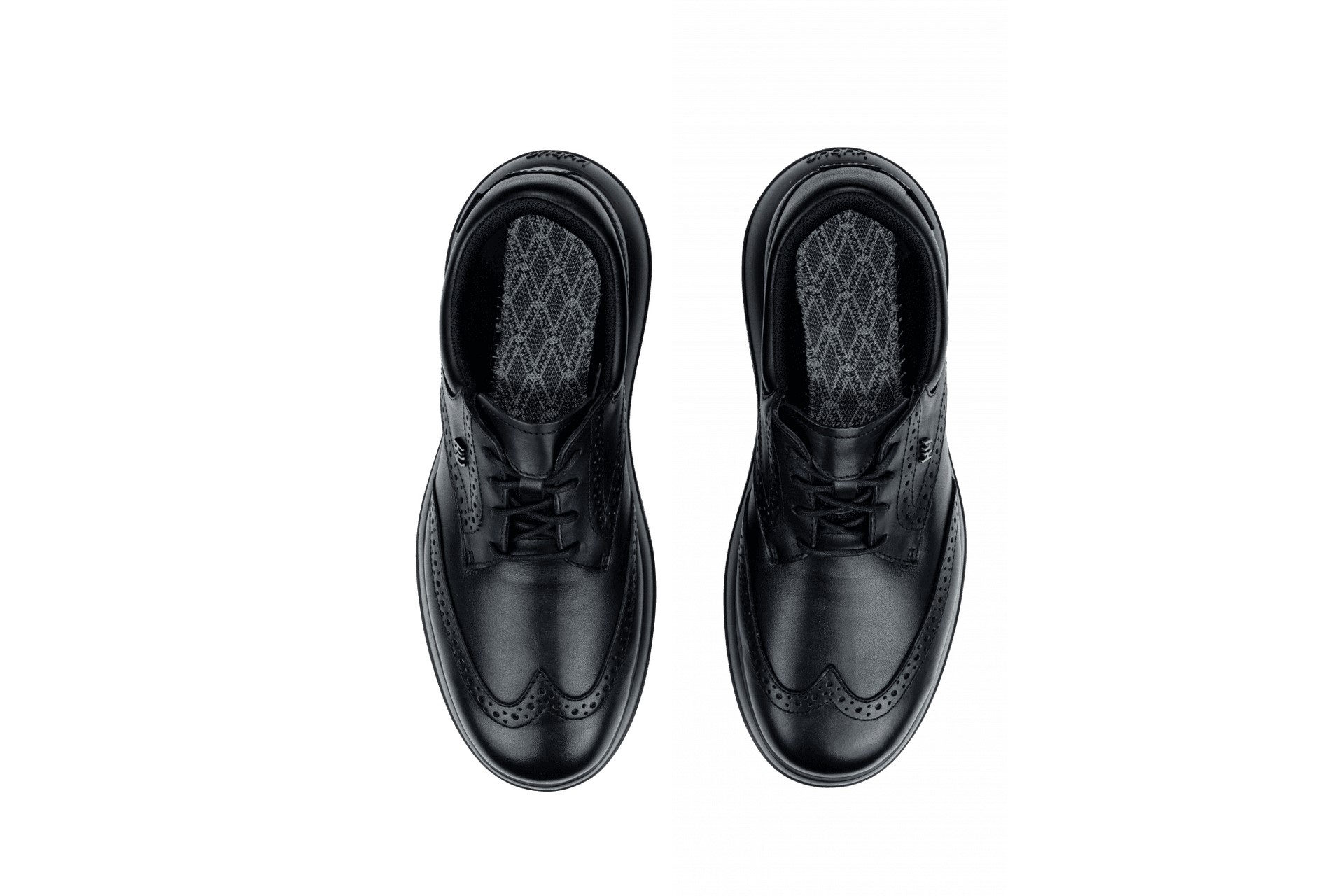 /user/j/joya/editor/2602/12c6be1af83271c282323f1d62462f91_1770180103_0523.jpg 이미지크게보기